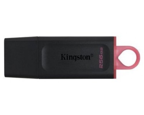 MEMORIA KINGSTON-JETFLASH DTX 256GB