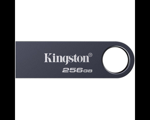MEMORIA KINGSTON-JETFLASH SE9 G3 GY 256GB