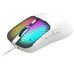 RATON TACENS MM-VIPER WH RATON TACENS MM-VIPER WH