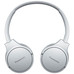 PAN-AUR RB-HF420BE WH PAN-AUR RB-HF420BE WH