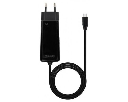 TOO-CAR TQLC-USBCGAN65PD-C